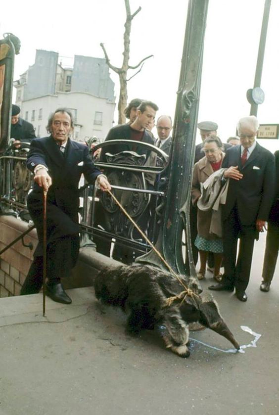 Surrealist artist Salvador Dali walks his pet aardvark in Paris.